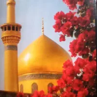 زیارت امام هشتم علی ابن موسی الرضا