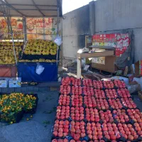 گاری چهارچرخ  واگذاری بساط میوه