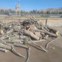 خرید انواع چوب