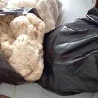 پنبه