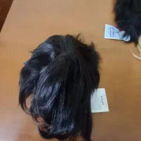 کلاه گیس بلوند و مشکی|آرایشی، بهداشتی، درمانی|سمنان, |دیوار