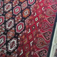 فرش هلال البرز|فرش|گنبد کاووس, |دیوار