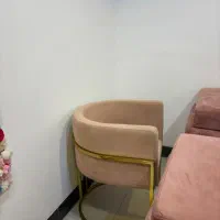 لوازم آرایش سالن|آرایشگاه و سالنهای زیبایی|صفادشت, |دیوار