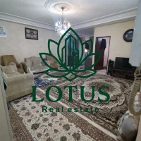 75متر سند تک برگ