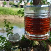 چای طبیعی گیلان