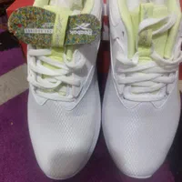 کیف و کفش