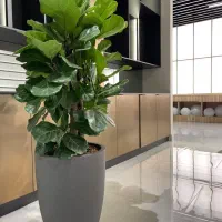 درختچه مصنوعی