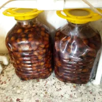 سیر ترشی هفت ساله