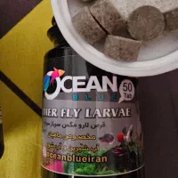 غذا با کیفیت ماهی آکواریوم