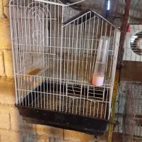 قفس پرنده زینتی و خانگی