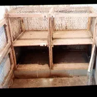 جفت کن چهار خونه و لانه برای پرنده بخصوص کبوتر