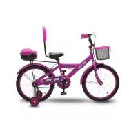 دوچرخه سایز ۲۰ رنگ دخترانه چیچک|دوچرخه، اسکیت، اسکوتر|قرچک, مهدیه|دیوار