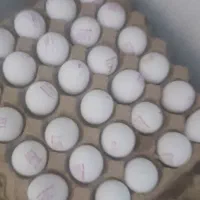 موادغذایی با کالابرگ تعاونی|خوردنی و آشامیدنی|بندر امام خمینی, |دیوار