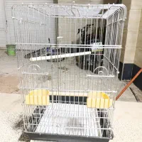 قفس کاسکویی بزرگ قدیمی