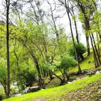 جنگل کارا درکه فول پذیرایی بمب انرژی