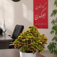 اجاره-دوخواب-امامت