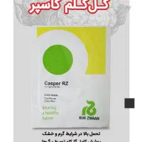 بذر خیار  گل کلم بذر سبزیجات|گل و گیاه طبیعی|قم, تکیه آقا سید حسنی|دیوار