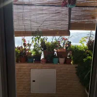 آپارتمان ۸۸ متری|فروش آپارتمان|تهران, جوادیه|دیوار