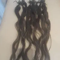 موطبیعی