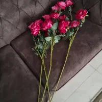 گل رز مصنوعی|گل مصنوعی|گرمدره, |دیوار