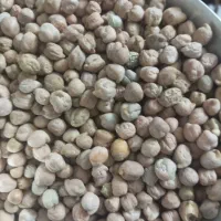 فروش عدس و نخود محلی|خوردنی و آشامیدنی|شیراز, پشم شیشه|دیوار