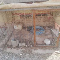 یه عددقفس مرغی،میفروشم