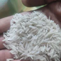 برنج پاکستانی دانه بلند طبیعت