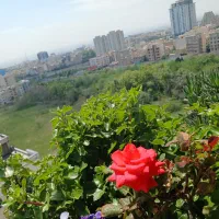 ۱۲۳ متر    تیر خلاص بر چشم بد    سعادت‌آباد