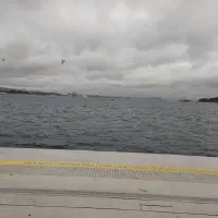 آموزش شنای خصوصی