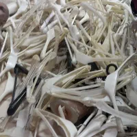 چوب کار فروشی