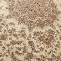 یک جفت فرش ۱۲۰۰ شانه در حد نو بسیار تمیز|فرش|زنجان, |دیوار
