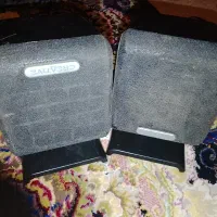 دو عدد باند