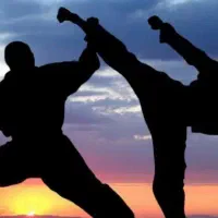 آموزش رزمی(دفاع شخصی و‌کیک بوکسینگ)آقایان-بانوان