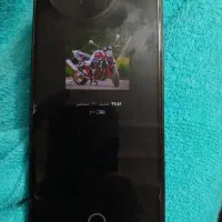 شیامی نت های 14