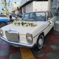 اجاره ماشین عروس|خودرو اجاره‌ای|دابودشت, |دیوار