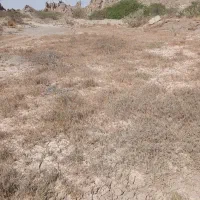 زمین-مسکونی