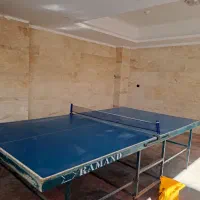 میز پینگ پنگ