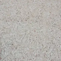 برنج فجر|خوردنی و آشامیدنی|سنگدوین, |دیوار