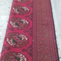 فرش دست بافت محلی|فرش|مرودشت, کوشک|دیوار