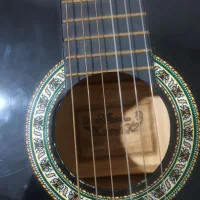 گیتار و سه تار|سازهای سنتی|بهارستان, |دیوار