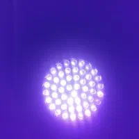 چراغ قوه یو وی|کوهنوردی و کمپینگ|املش, |دیوار