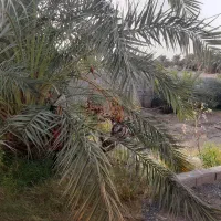 خونه ویلایی ۹۰متری اسکلت پیچ مهره