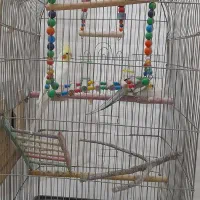 عروس هلندی سخن گو