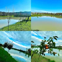 اجاره ویلا استخردار جنگلی با با استخر و جکوزی|اجارهٔ کوتاه‌مدت ویلا و باغ|رشت, استادسرا|دیوار