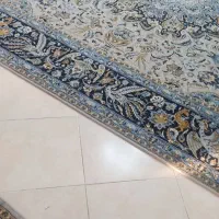 فرش 12متر ی|فرش|مشهد, کوی دروی|دیوار