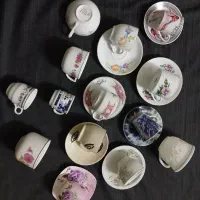 هرست فنجان ونلبکی ۳۰۰ ونلبکی هرعدد۱۰۰