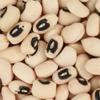 لوبیا چشم بلبلی