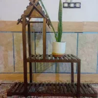 استیو گل با چوب روس