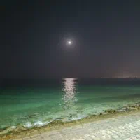 تراپی رایگان