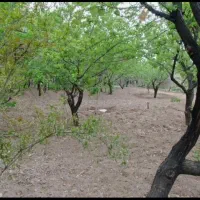باغ ویلا در کهک روستای میم|فروش خانه و ویلا|قم, ولیعصر|دیوار